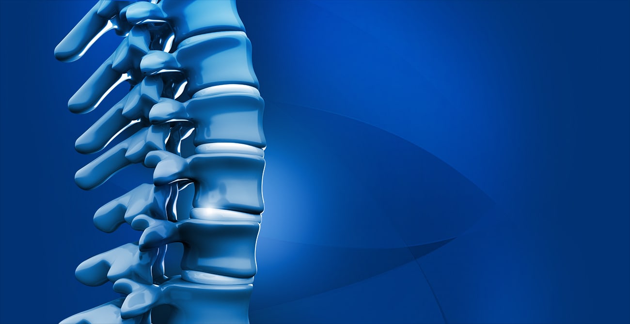Columna Vertebral